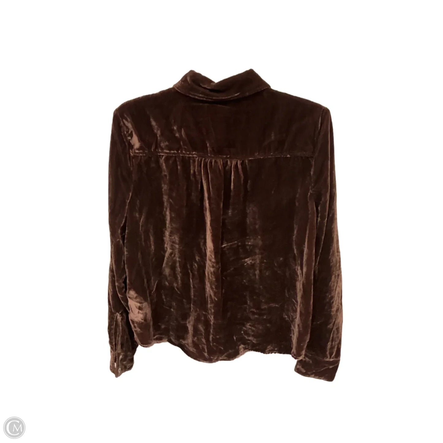 Blouse Long Sleeve By Evereve In Brown, Size: M