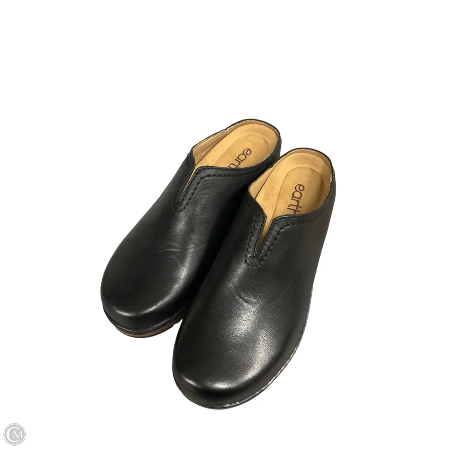 Shoes Flats By Earth In Black, Size: 6.5