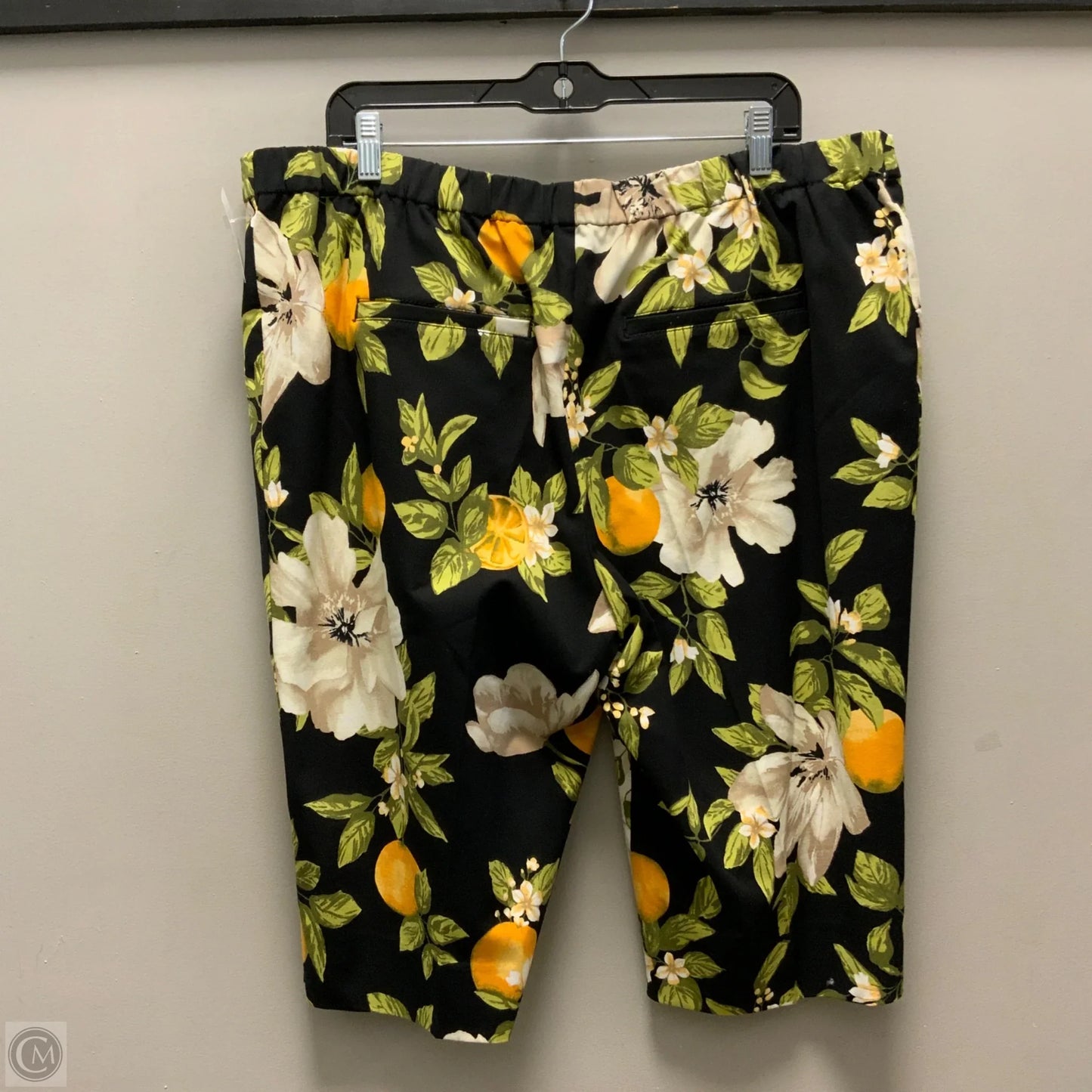 Shorts By Isaac Mizrahi Live Qvc In Black, Size: 20