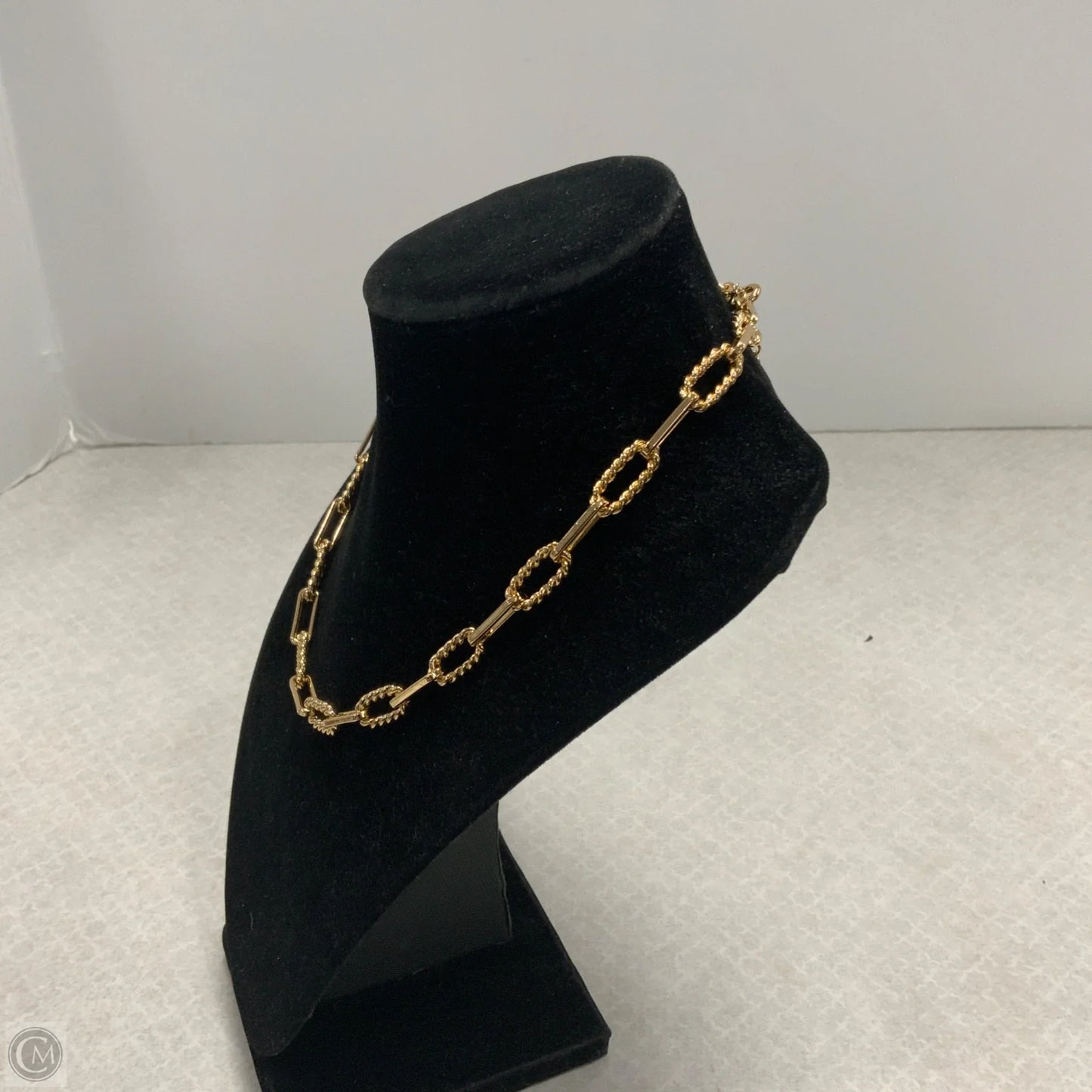 Necklace Chain By Loft