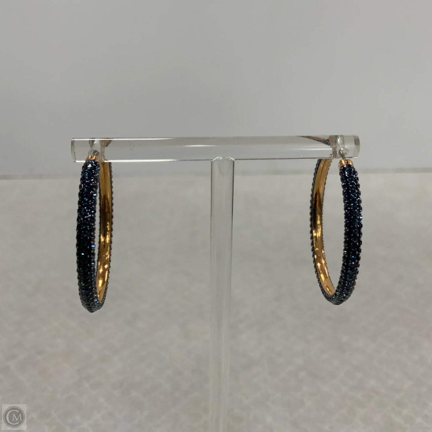 Earrings Designer By Swarovski