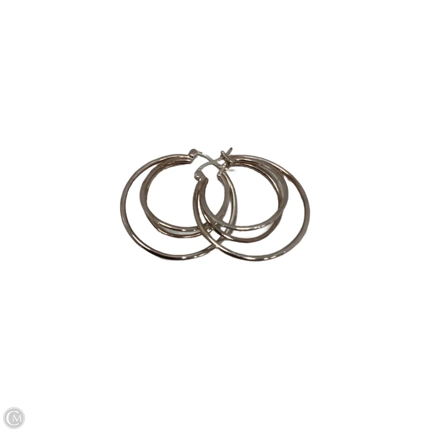 Earrings Hoop By Sierra Winter