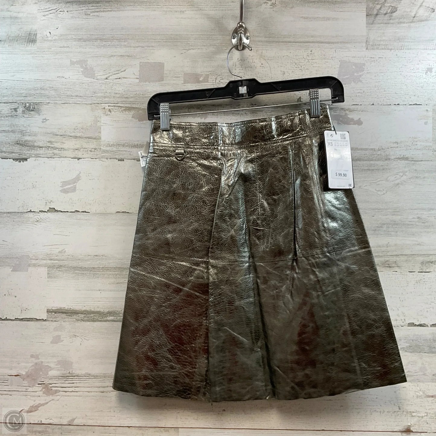 Skirt Mini & Short By Zara Women In Silver, Size: Xs