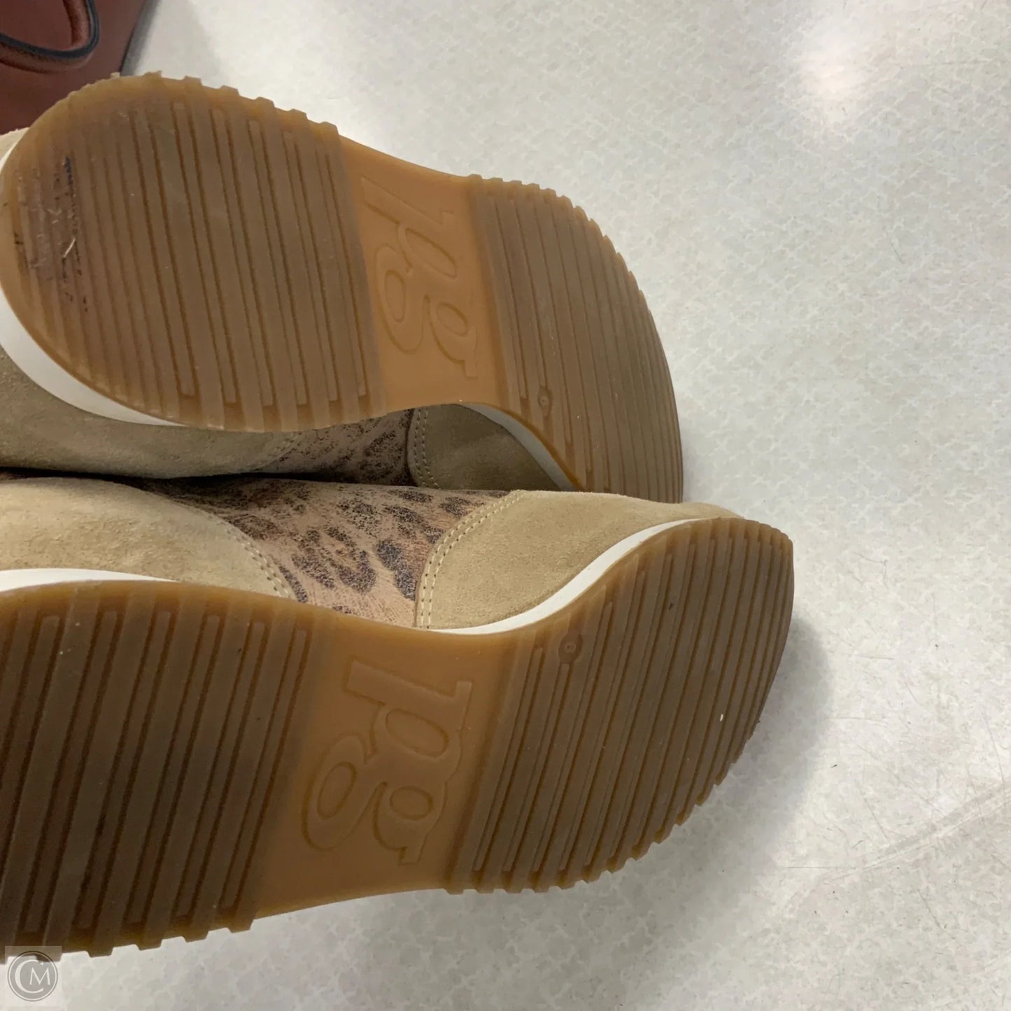 Shoes Sneakers By Paul Green In Animal Print, Size: 8.5