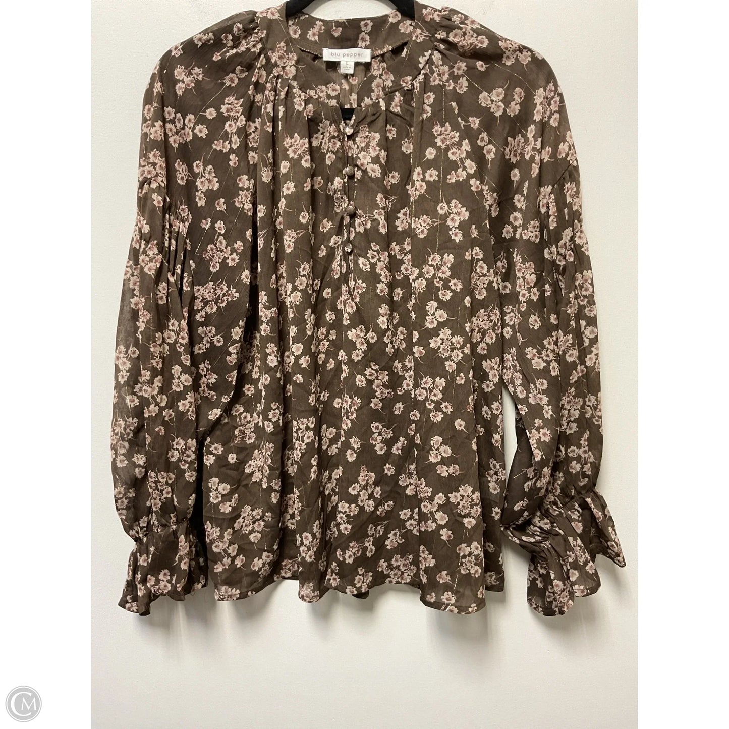 Blouse Long Sleeve By Blu Pepper In Brown & Cream, Size: L