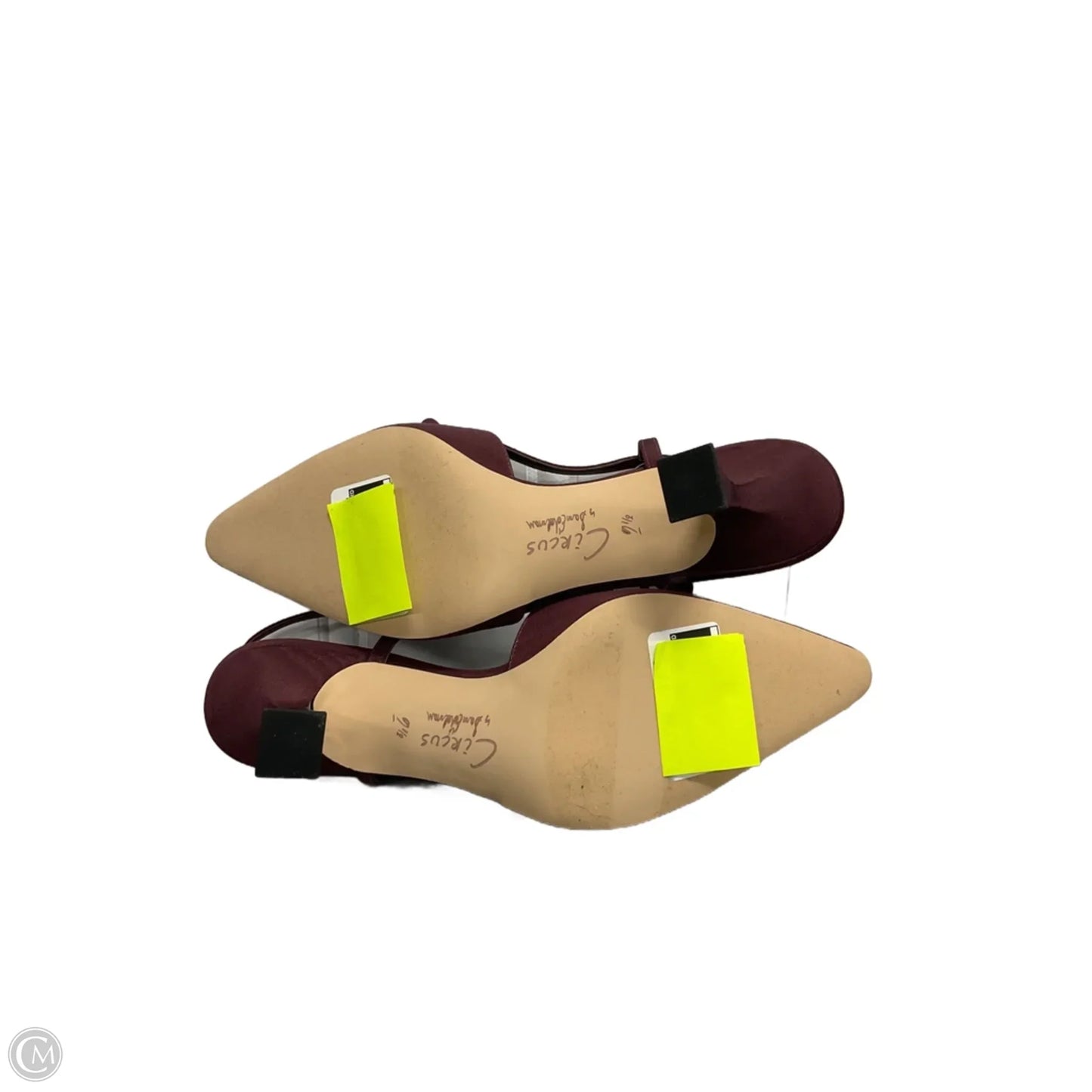 Shoes Heels Kitten By Circus By Sam Edelman In Maroon, Size: 9.5