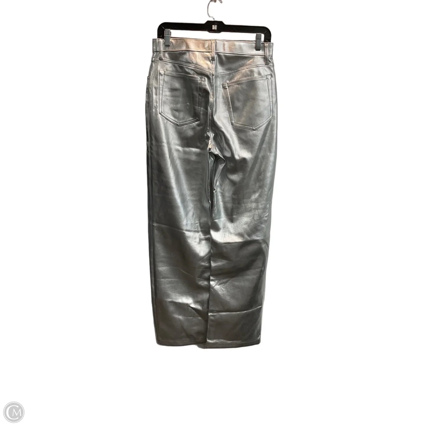 Pants Other By Abercrombie And Fitch In Silver, Size: 8