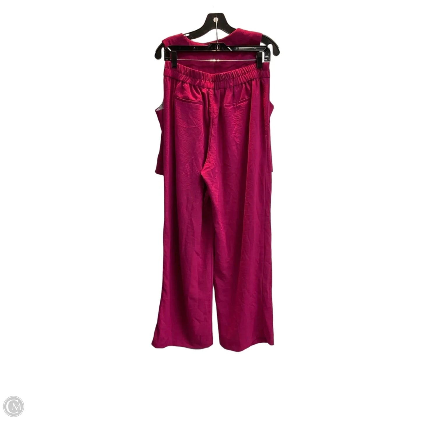 Pants Set 2pc By Clothes Mentor In Pink, Size: Xl