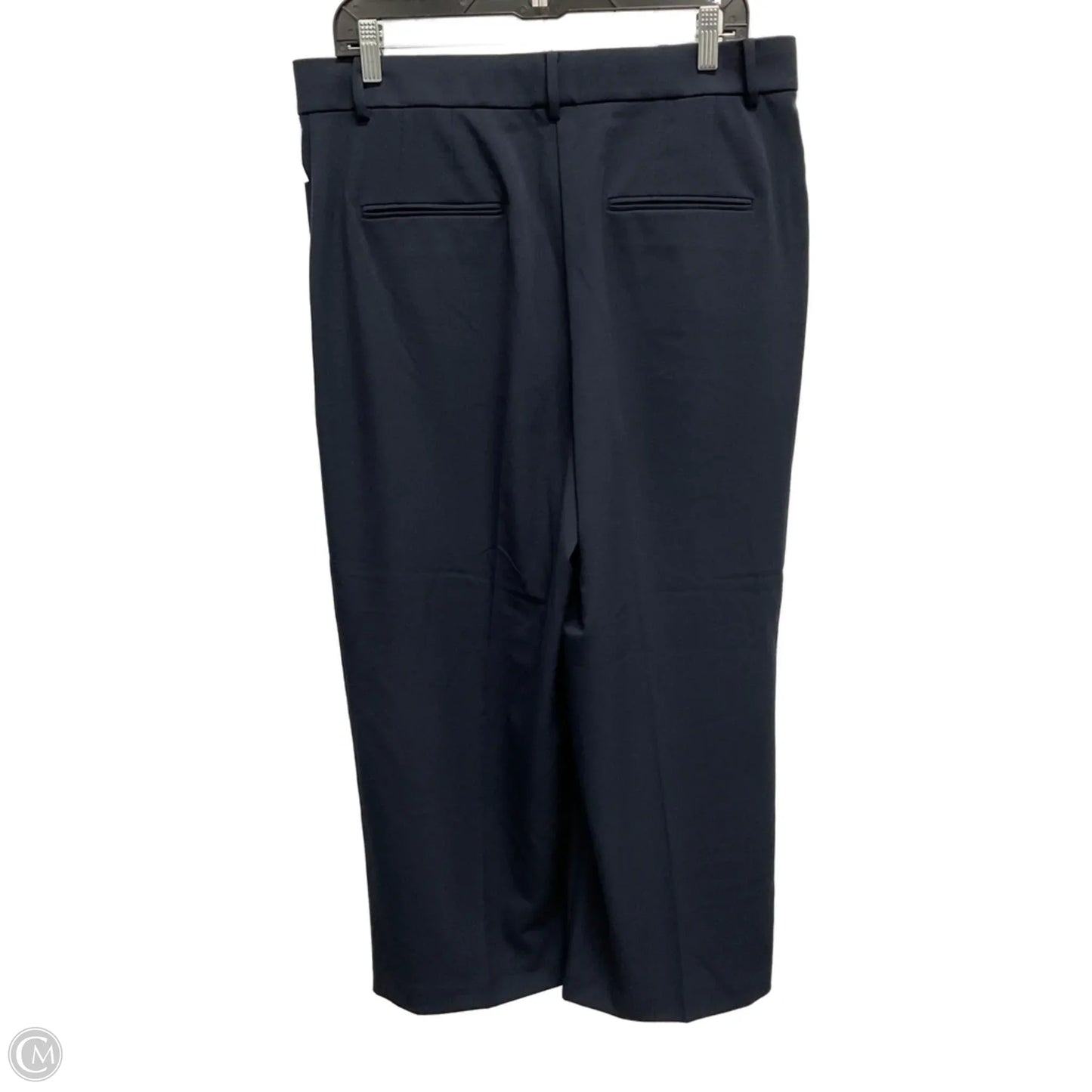 Pants Wide Leg By Ann Taylor In Navy, Size: 14p