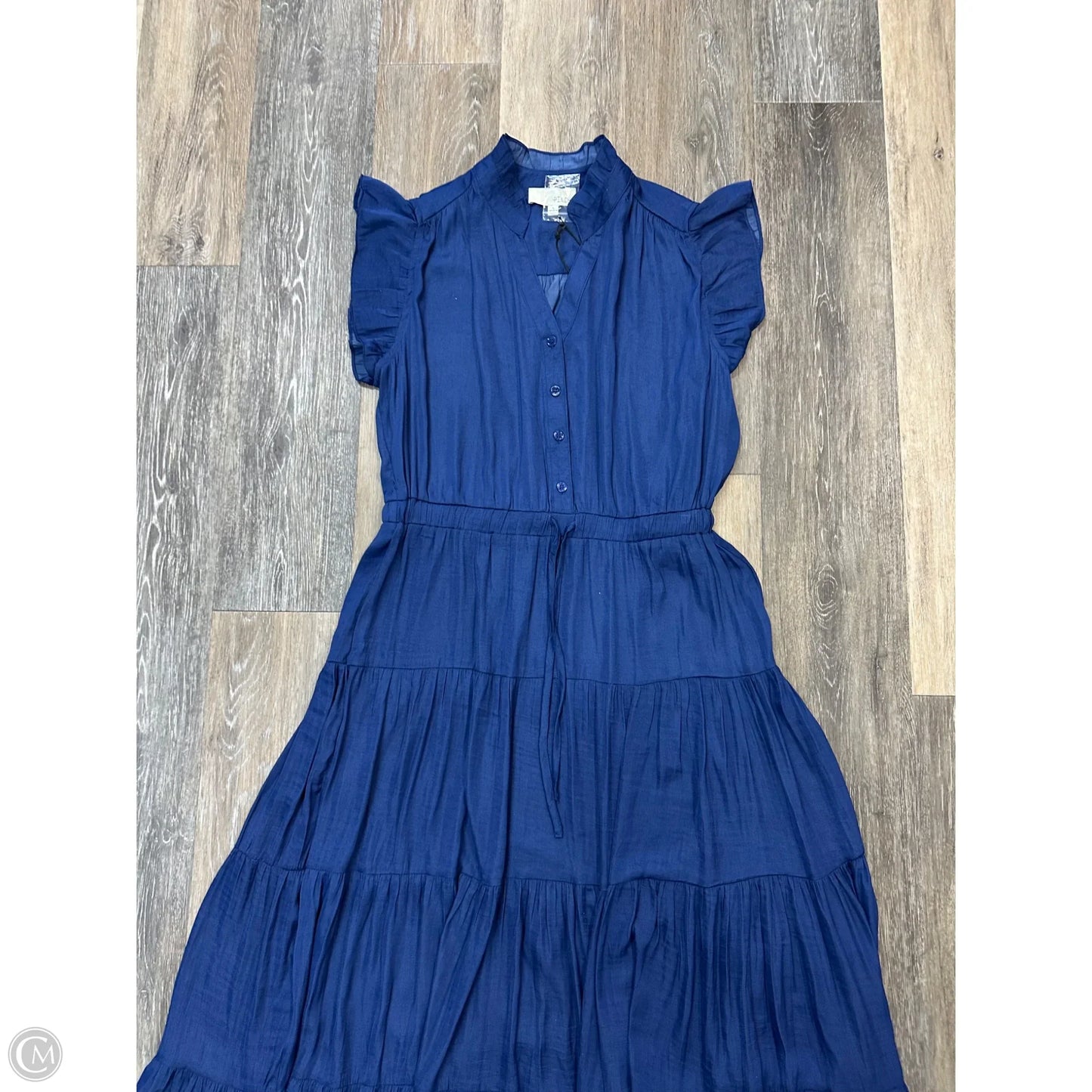 Dress Casual Maxi By Pinch In Blue, Size: L