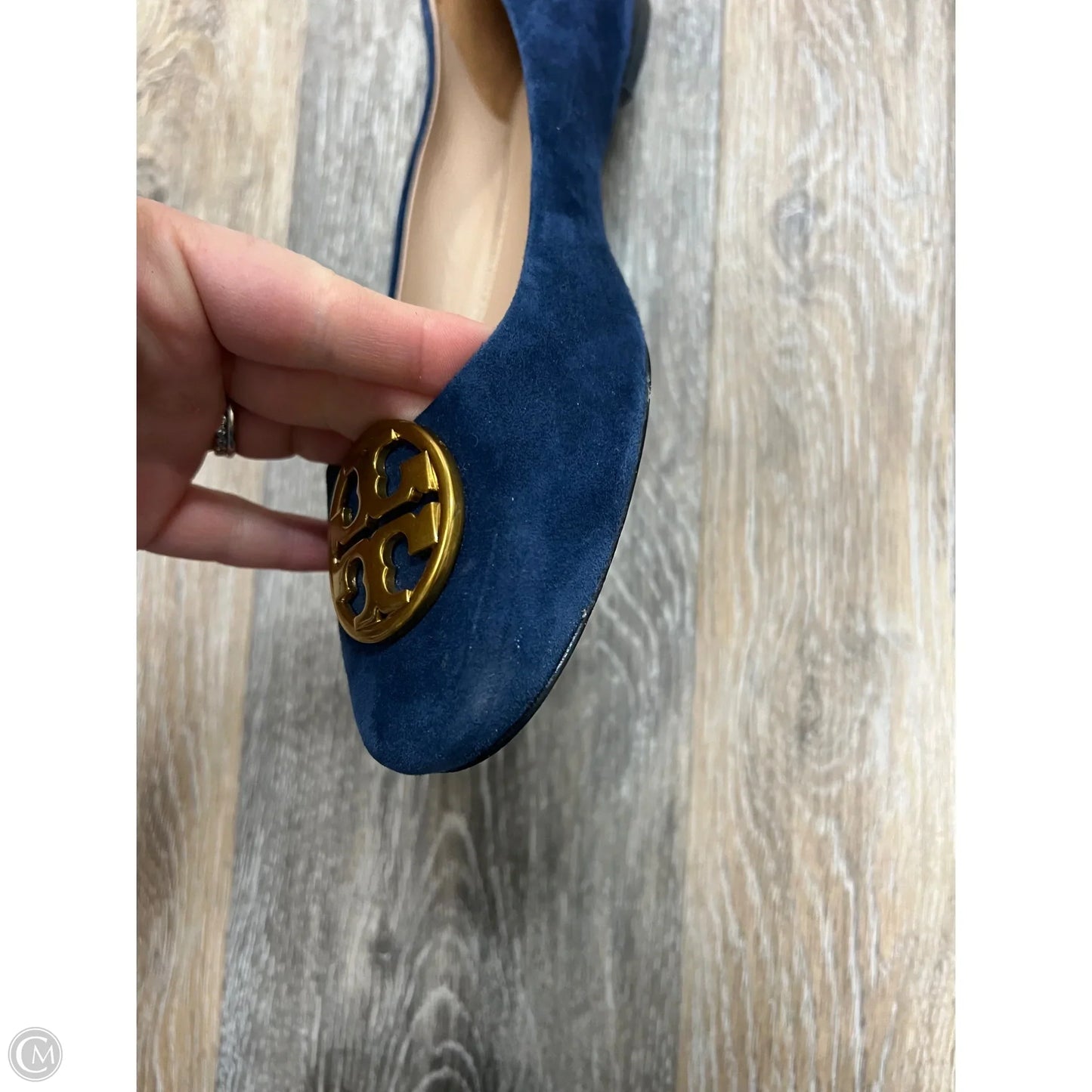 Shoes Designer By Tory Burch In Blue, Size: 8