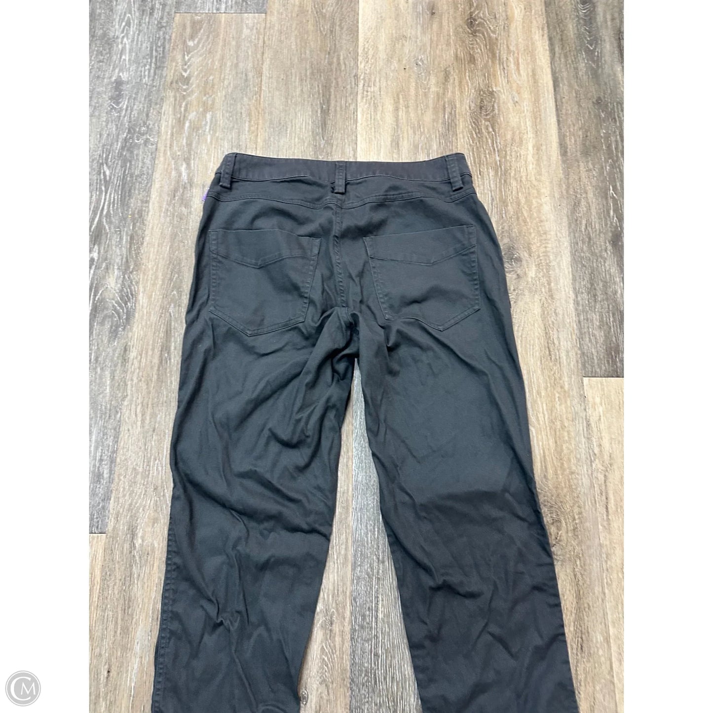 Pants Cargo & Utility By Arctaryx In Grey, Size: 4