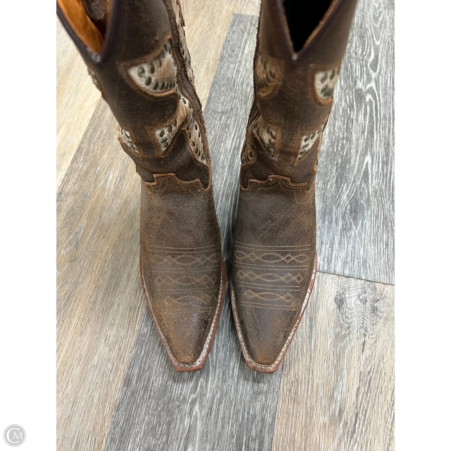 Boots Designer By Frye In Brown, Size: 6