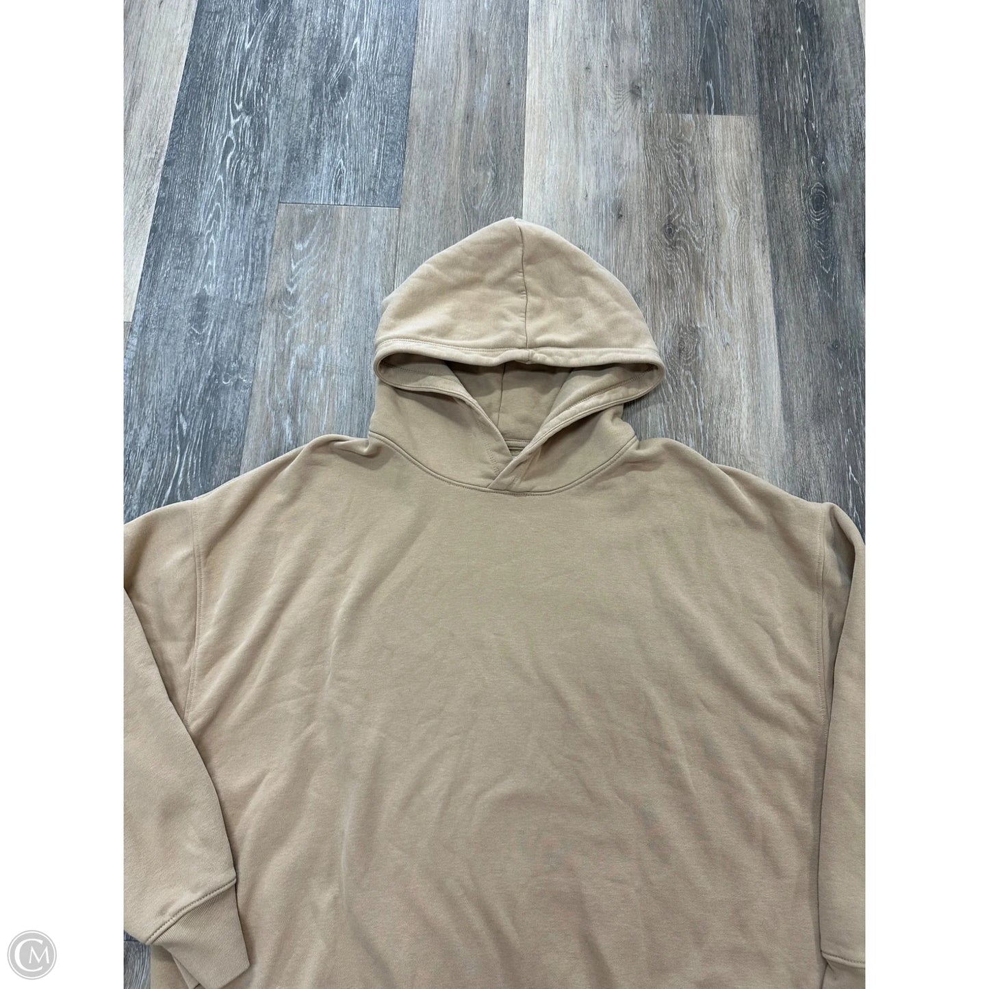 Sweatshirt Hoodie By American Eagle In Tan, Size: Xl