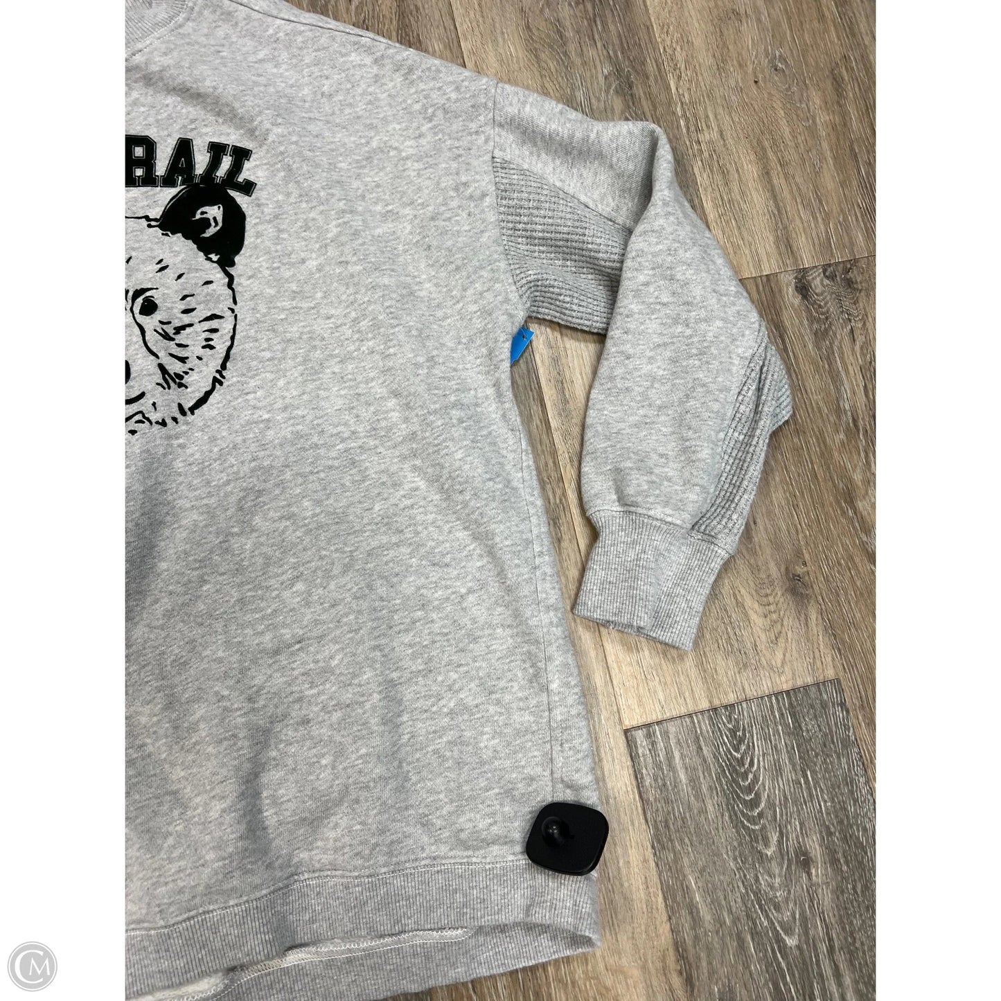 Sweatshirt Crewneck By Aerie In Grey, Size: Xs