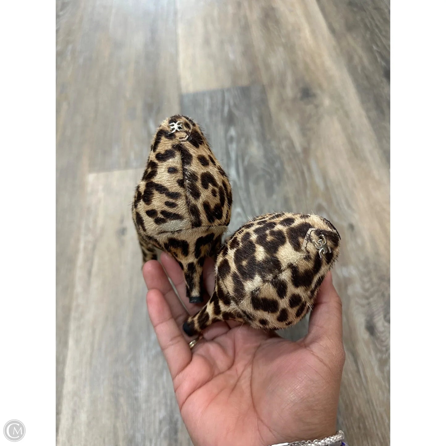 Shoes Heels Kitten By Sam Edelman In Animal Print, Size: 7.5