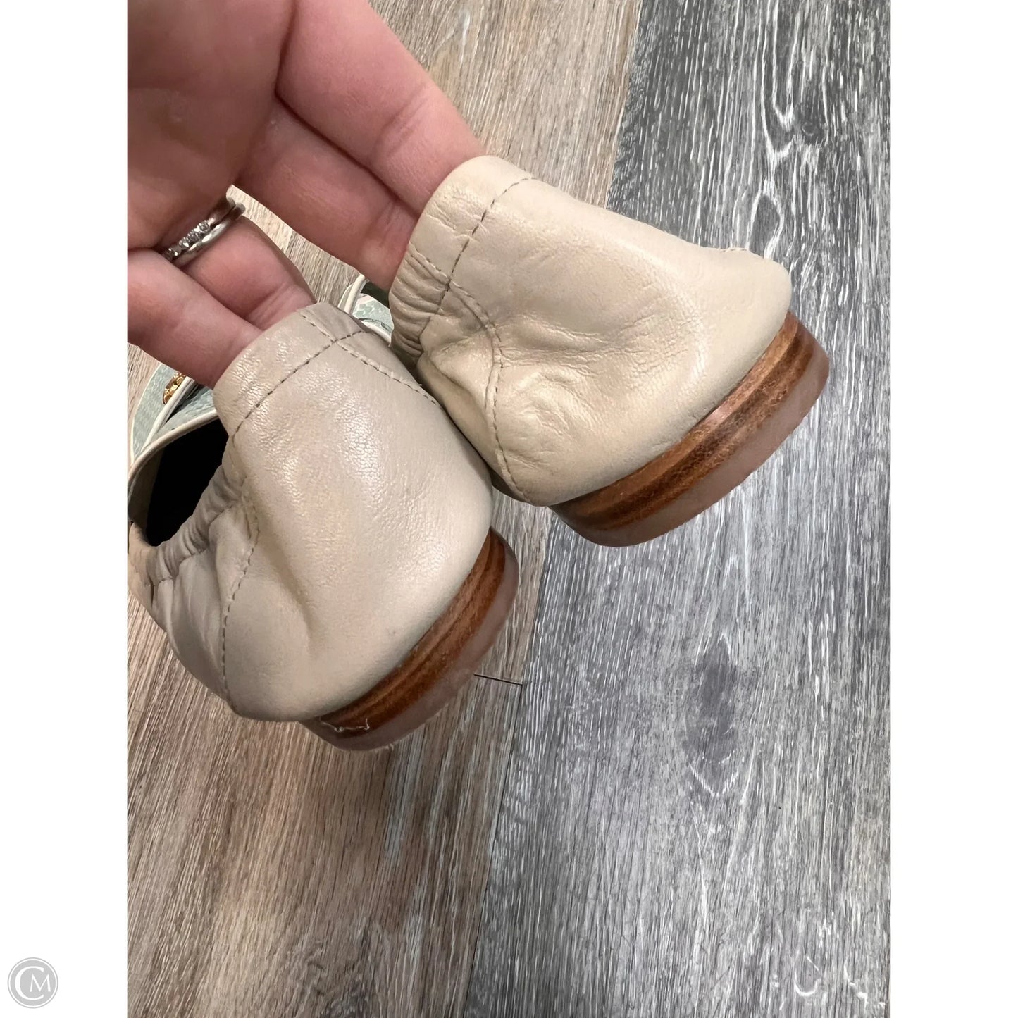 Shoes Designer By Tory Burch In Blue & Cream, Size: 9.5