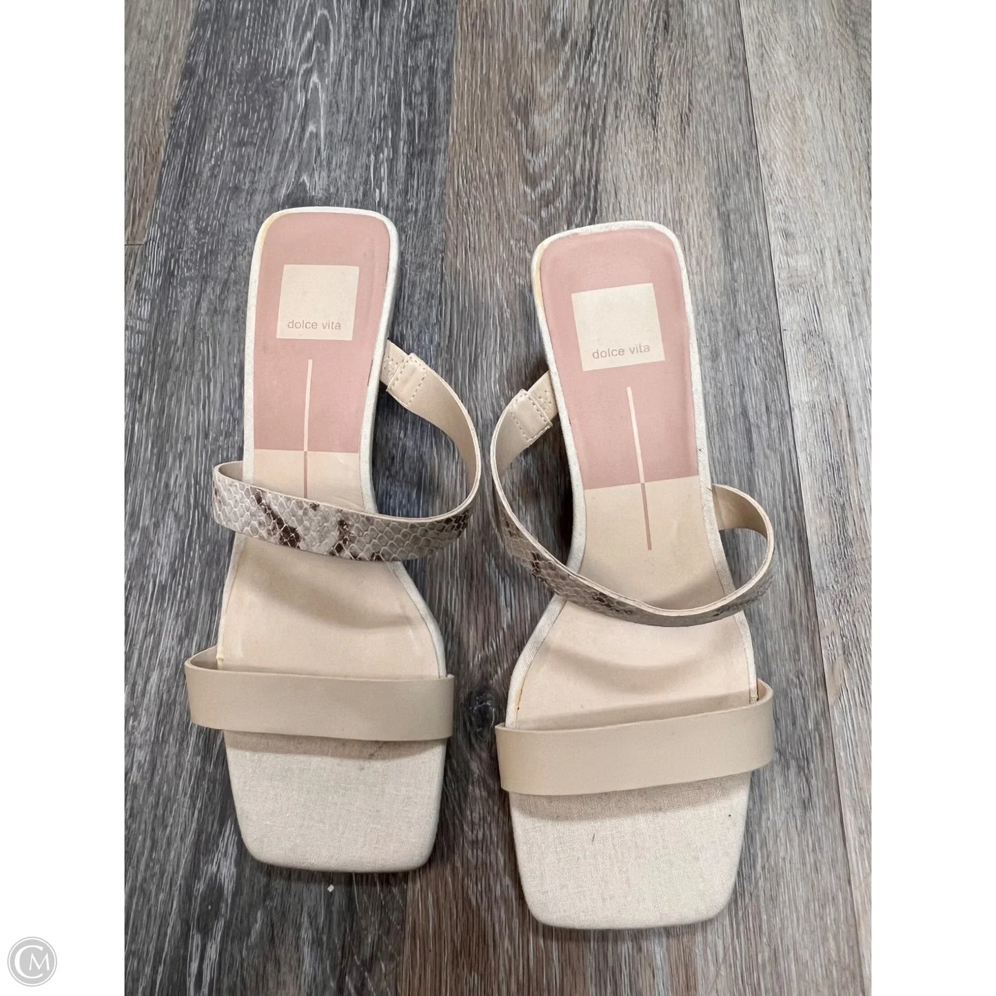 Sandals Heels Kitten By Dolce Vita In Snakeskin Print, Size: 8.5