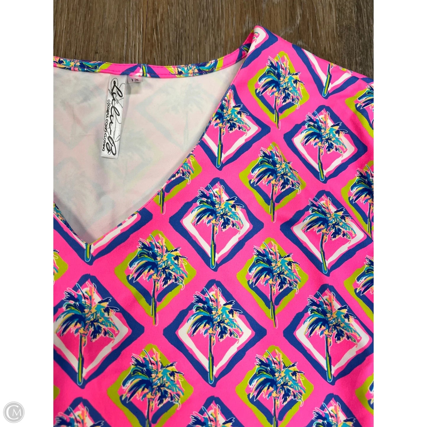 Top Long Sleeve By Lulu B In Pink, Size: 1x