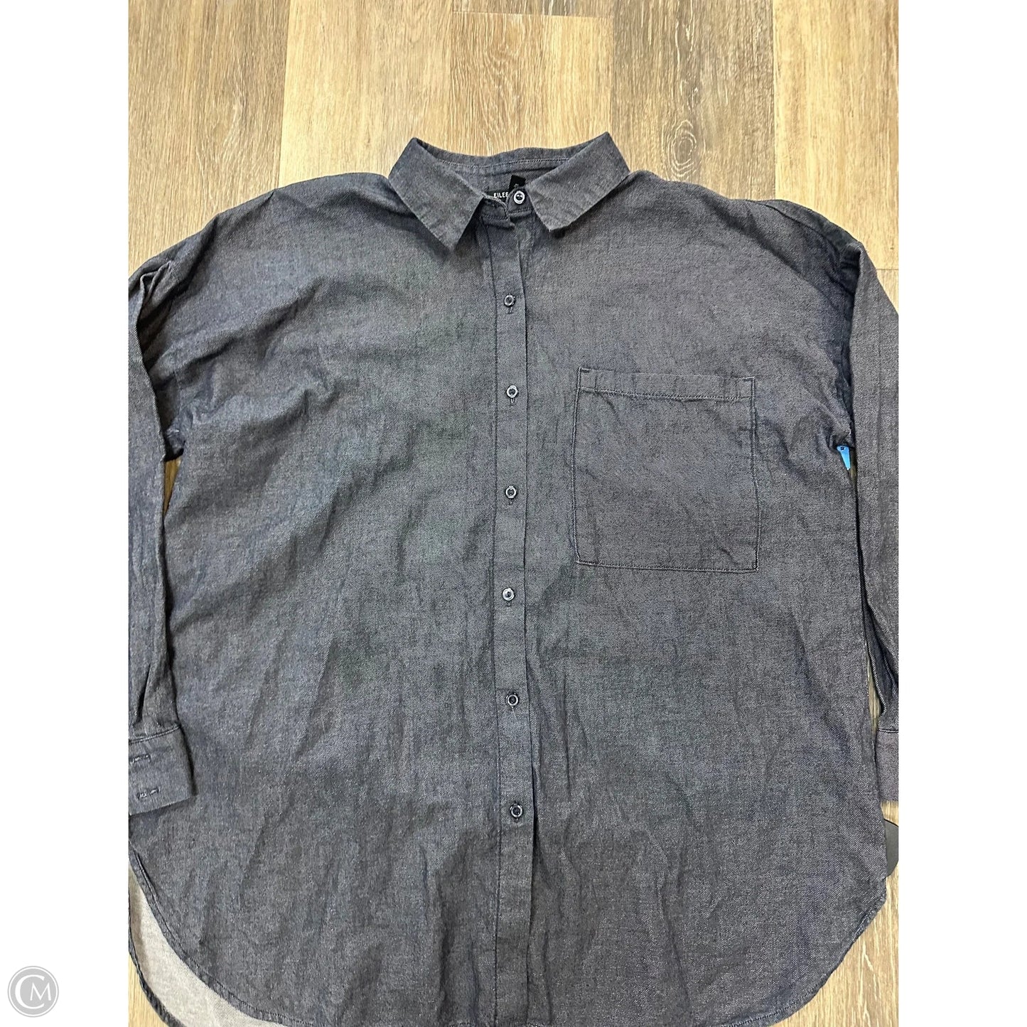 Blouse Long Sleeve By Eileen Fisher In Blue, Size: M