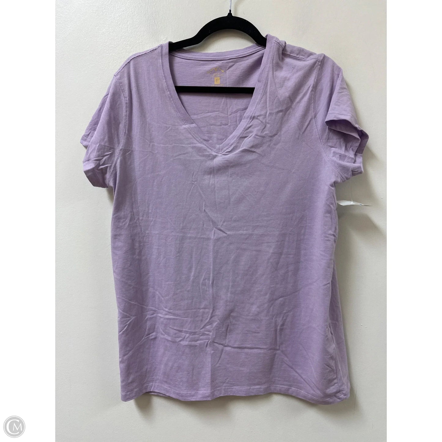 Top Short Sleeve Basic By Clothes Mentor In Purple, Size: L