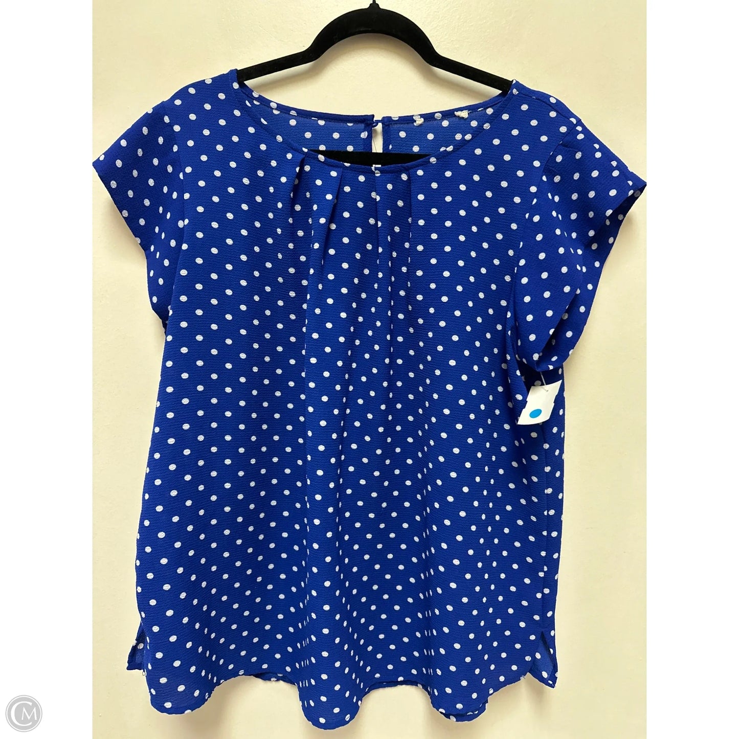 Top Short Sleeve By Clothes Mentor In Polkadot Pattern, Size: 1x