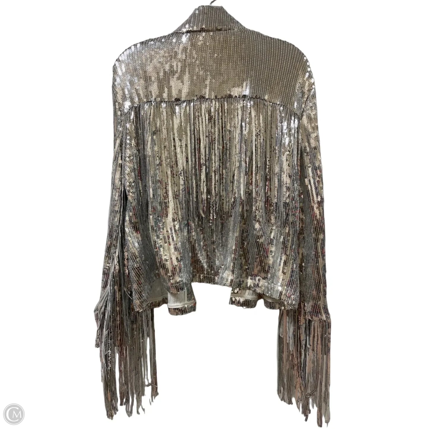 Jacket Other By Clothes Mentor In Silver, Size: 3x