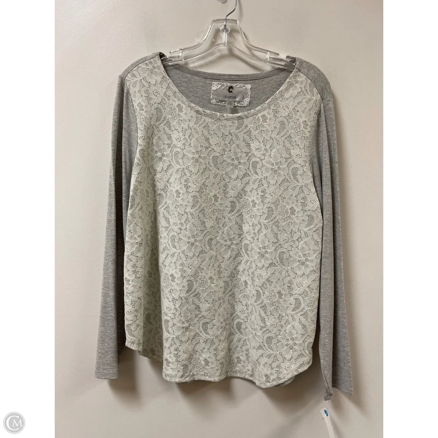 Top Long Sleeve By Cupio In Grey, Size: L