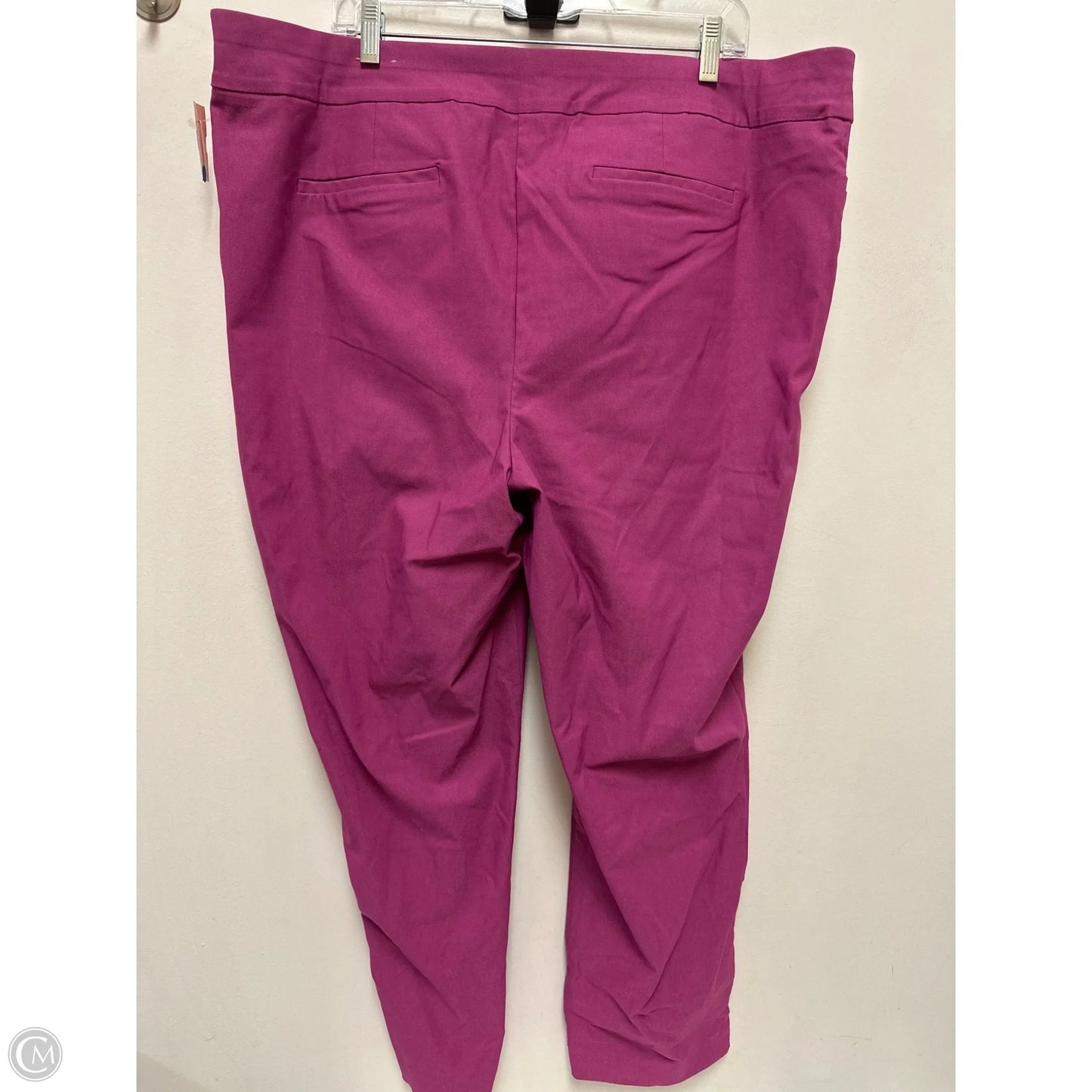 Pants Leggings By Chicos In Purple, Size: 20