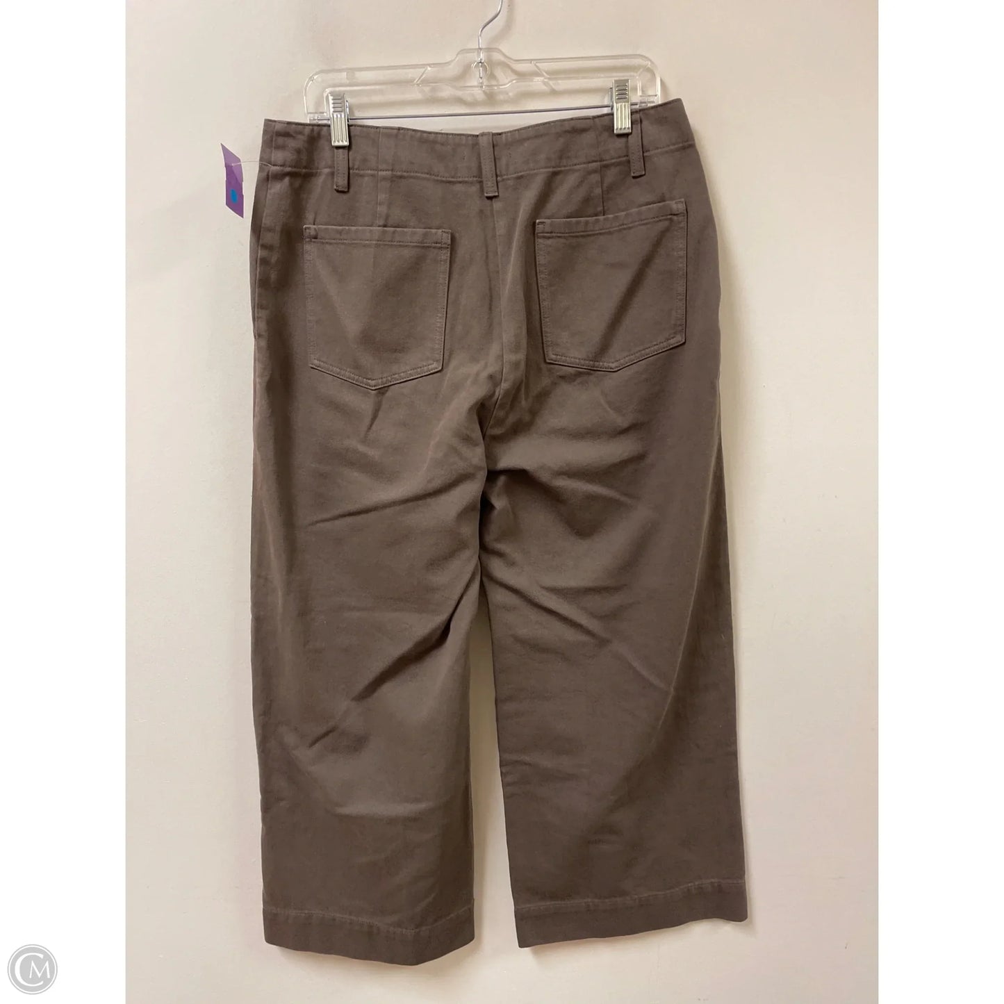 Pants Wide Leg By Eileen Fisher In Bronze, Size: 6