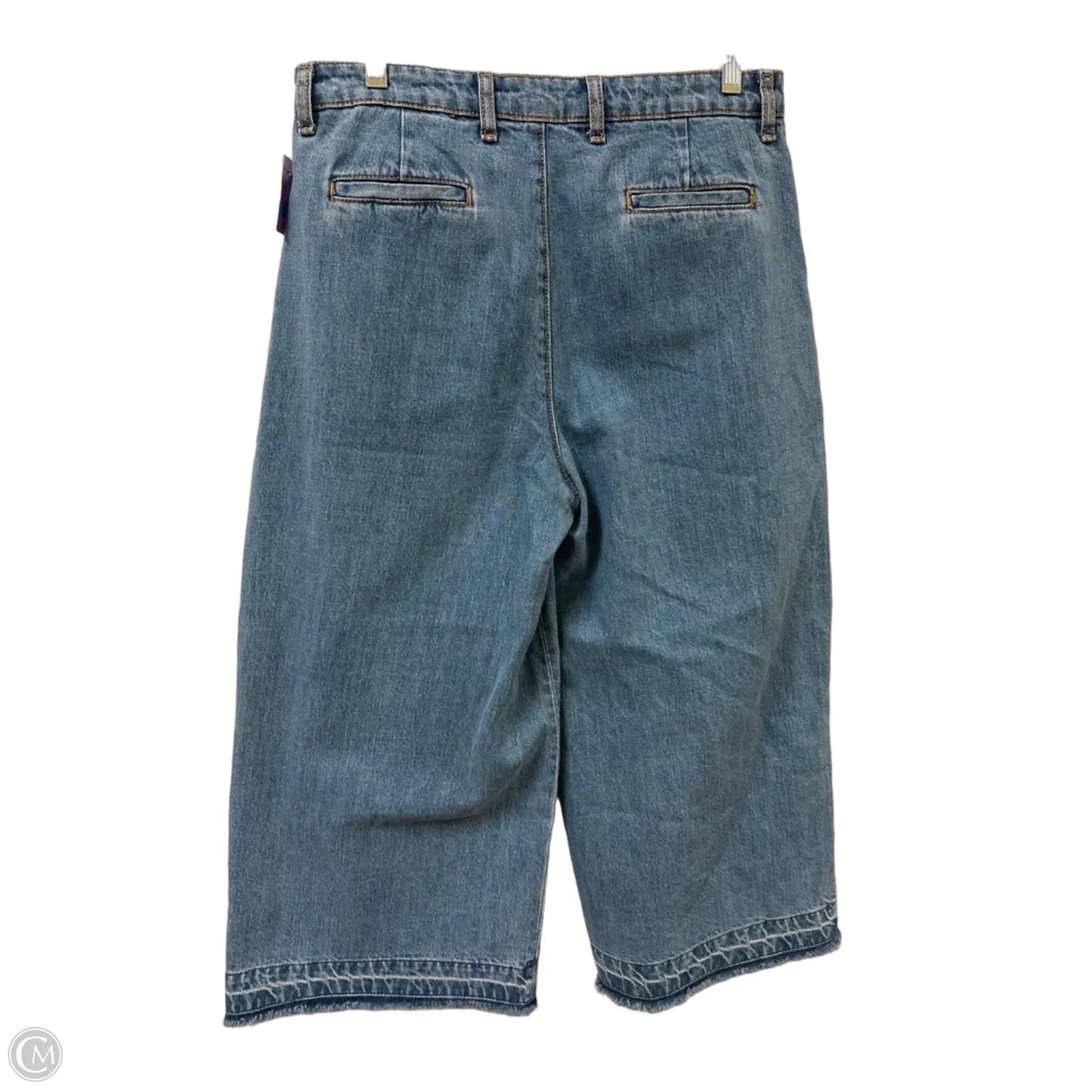 Jeans Wide Leg By Zara In Blue Denim, Size: 10