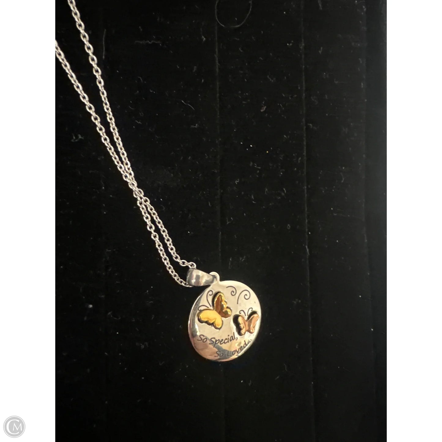 Necklace Pendant By Clothes Mentor