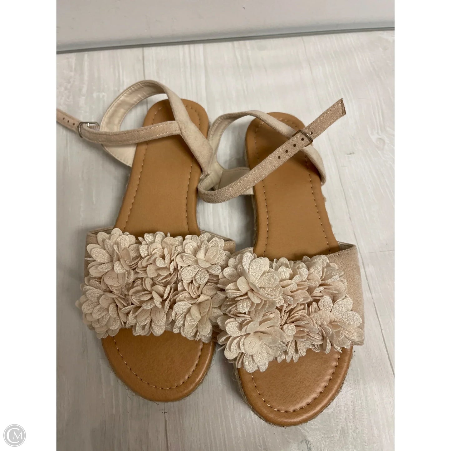 Sandals Flats By Clothes Mentor In Tan, Size: 7