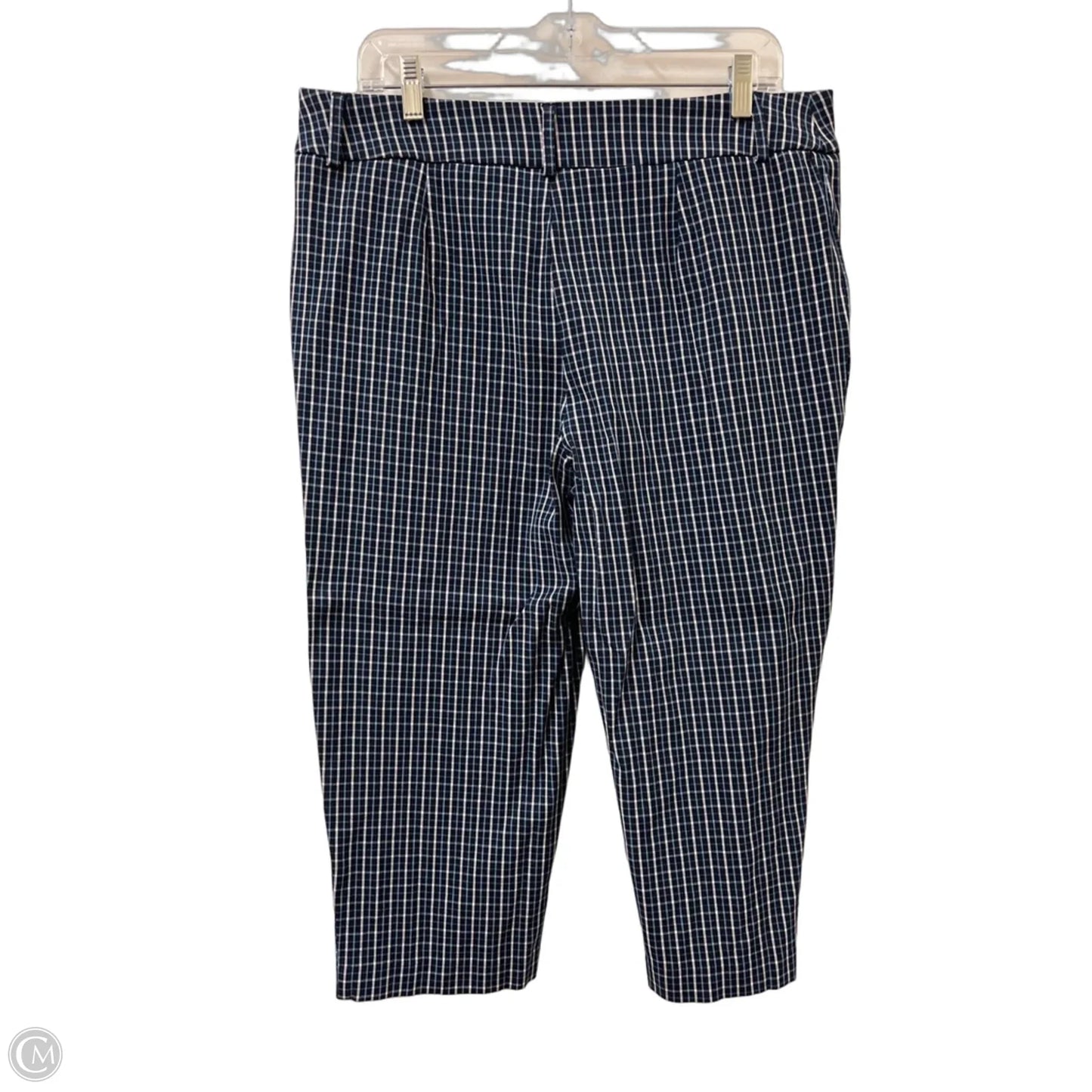 Capris By Time And Tru In Blue, Size: 14
