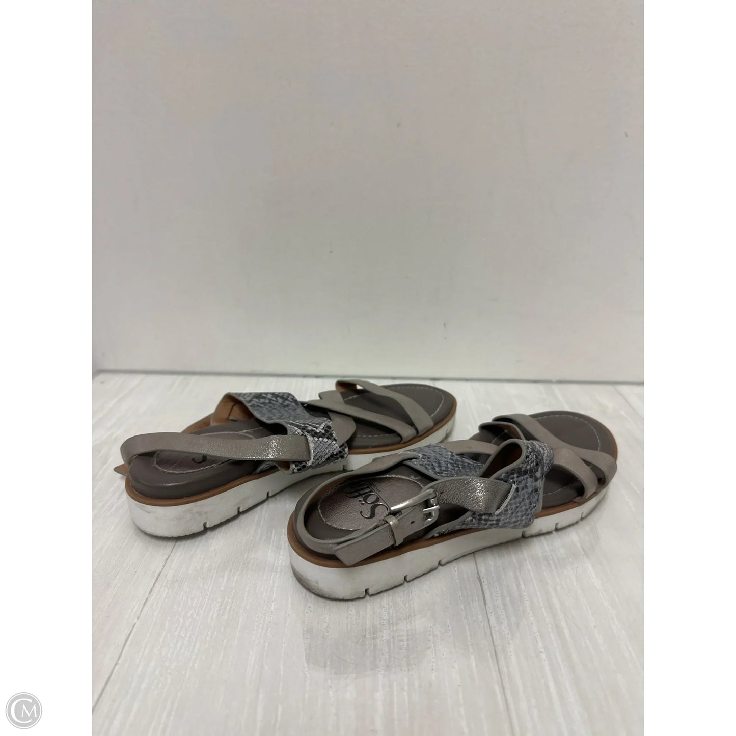 Sandals Flats By Sofft In Animal Print, Size: 7.5