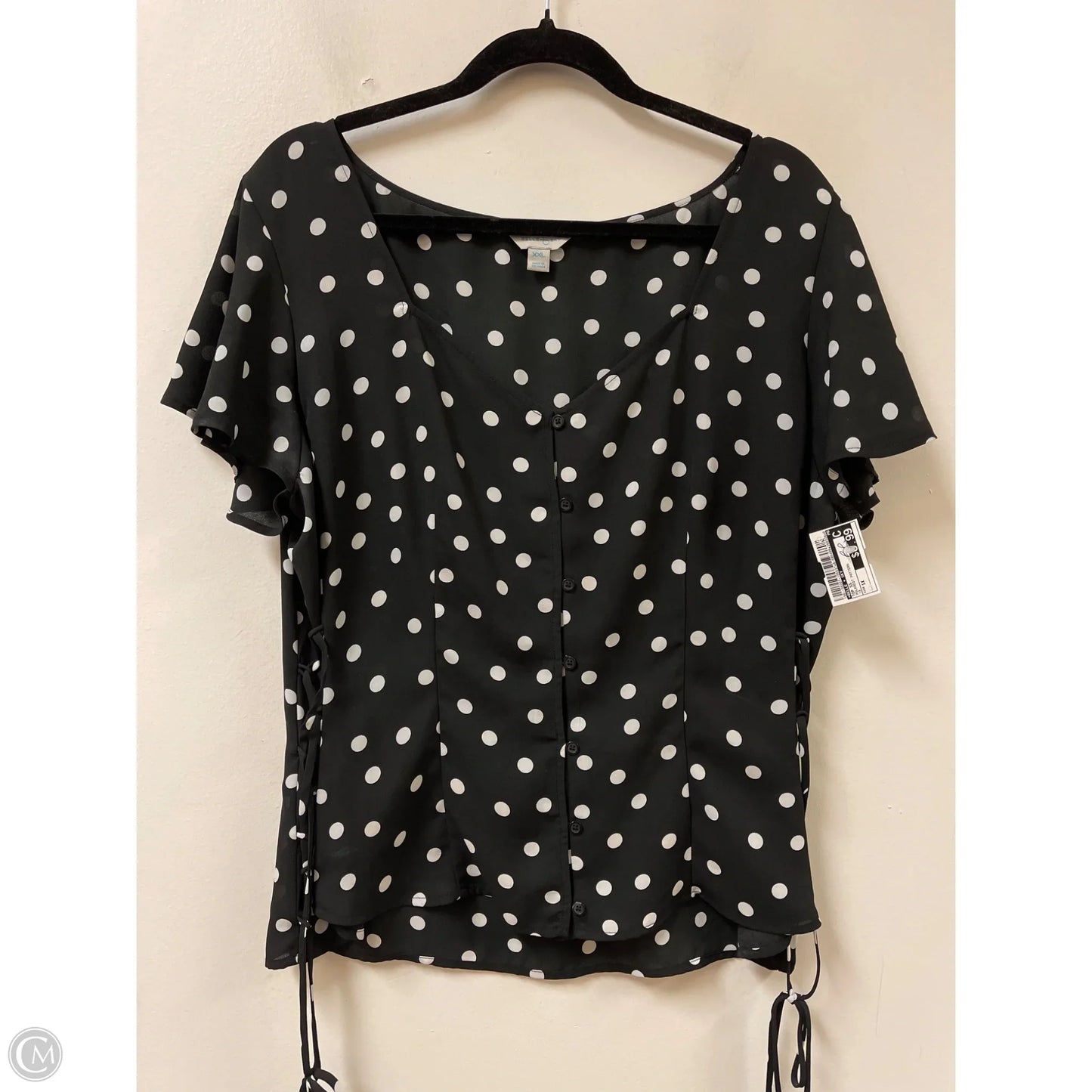 Top Short Sleeve By Belle + Sky In Polkadot Pattern, Size: 1x