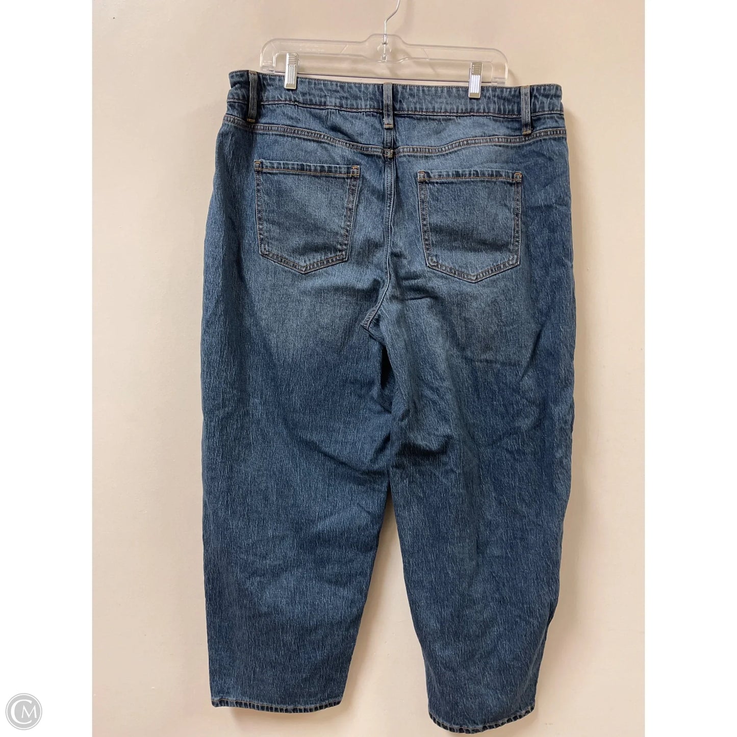 Jeans Wide Leg By Time And Tru In Blue Denim, Size: 20