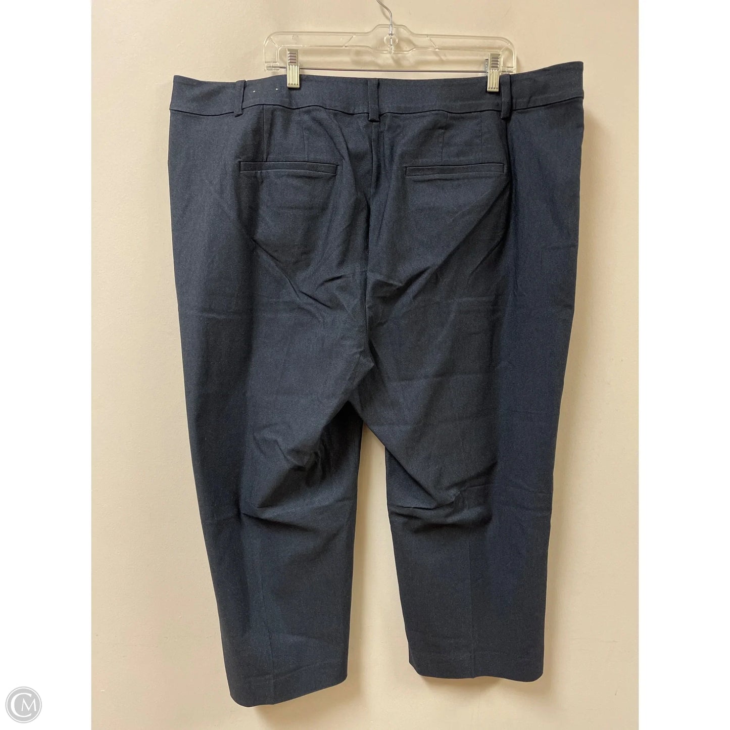 Pants Other By Lane Bryant In Blue, Size: 24