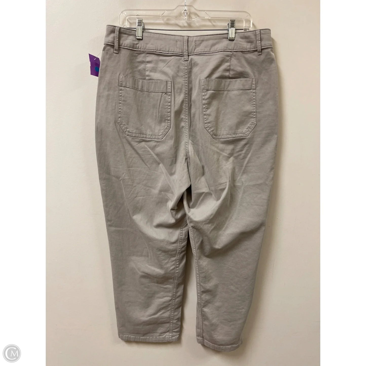 Pants Cargo & Utility By Sonoma In Grey, Size: 16