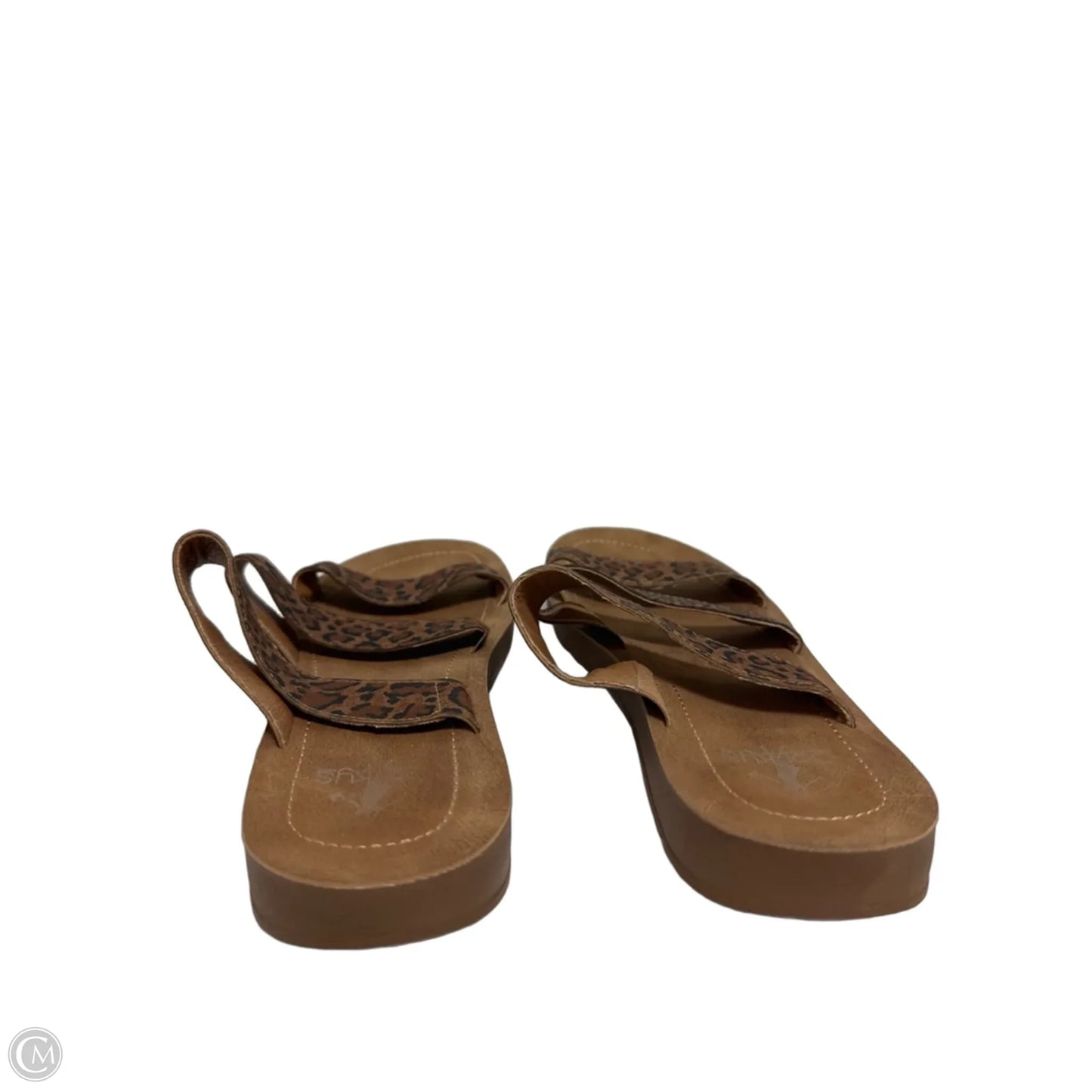 Sandals Flats By Corkys In Animal Print, Size: 7