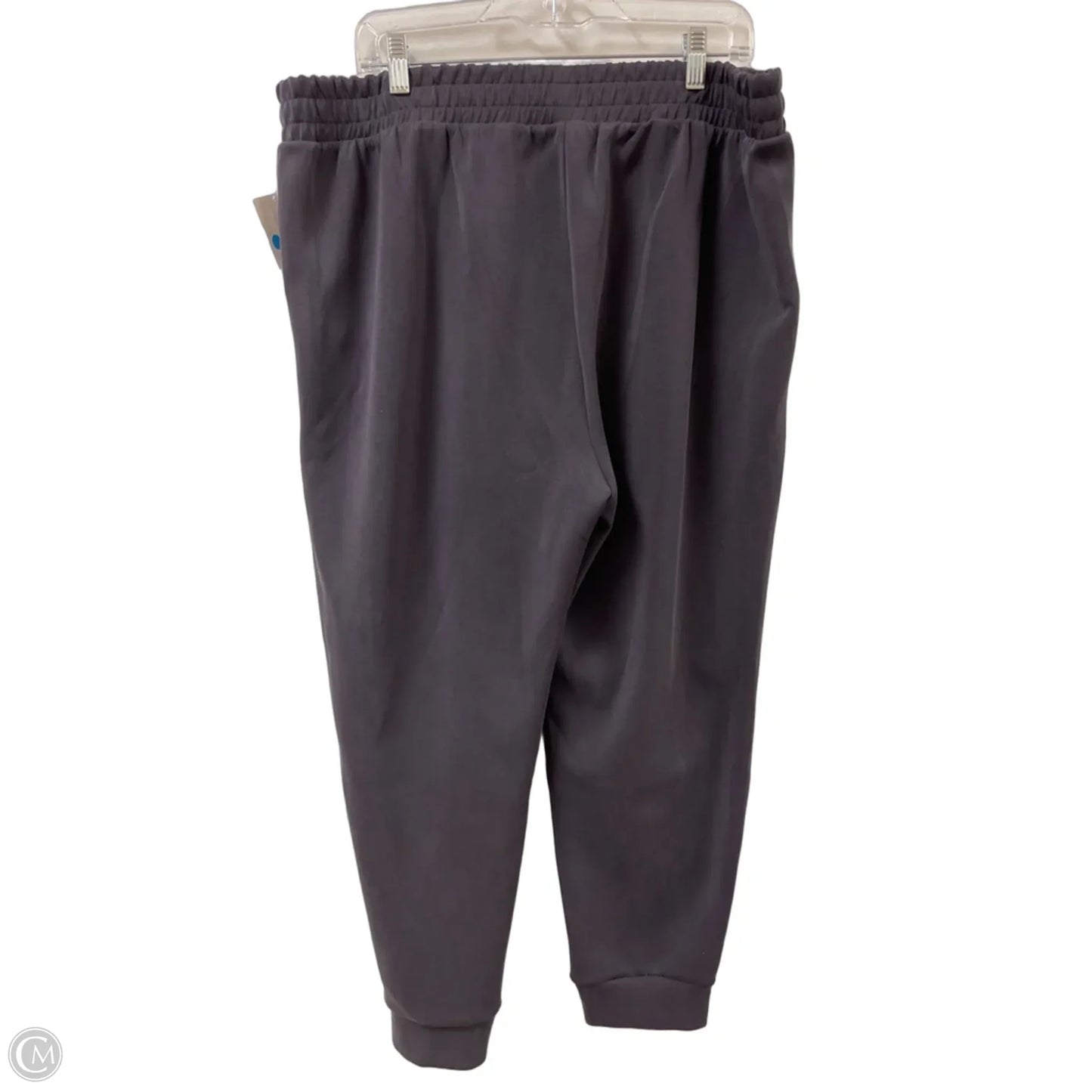 Athletic Pants By Avia In Grey, Size: Xl