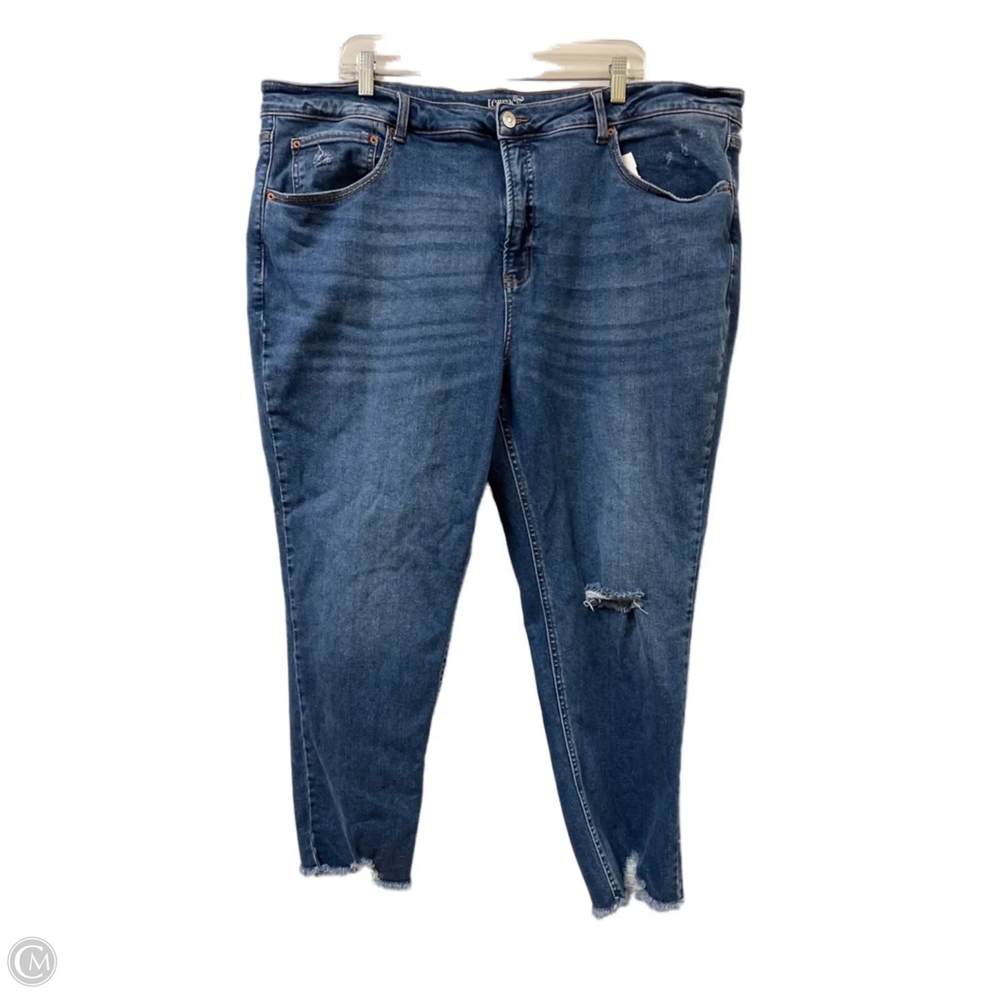 Jeans Skinny By Terra & Sky In Blue Denim, Size: 24