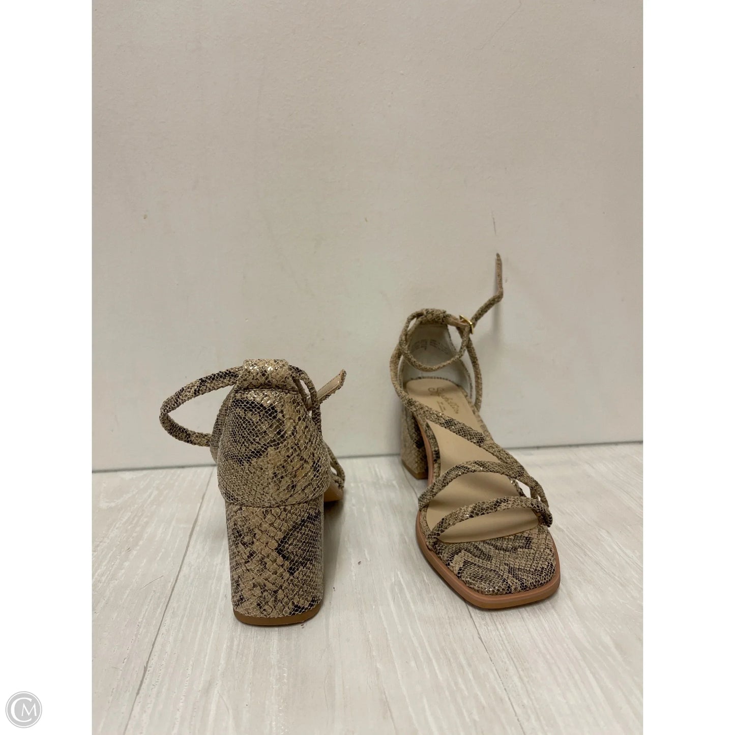 Sandals Heels Block By Seychelles In Snakeskin Print, Size: 8