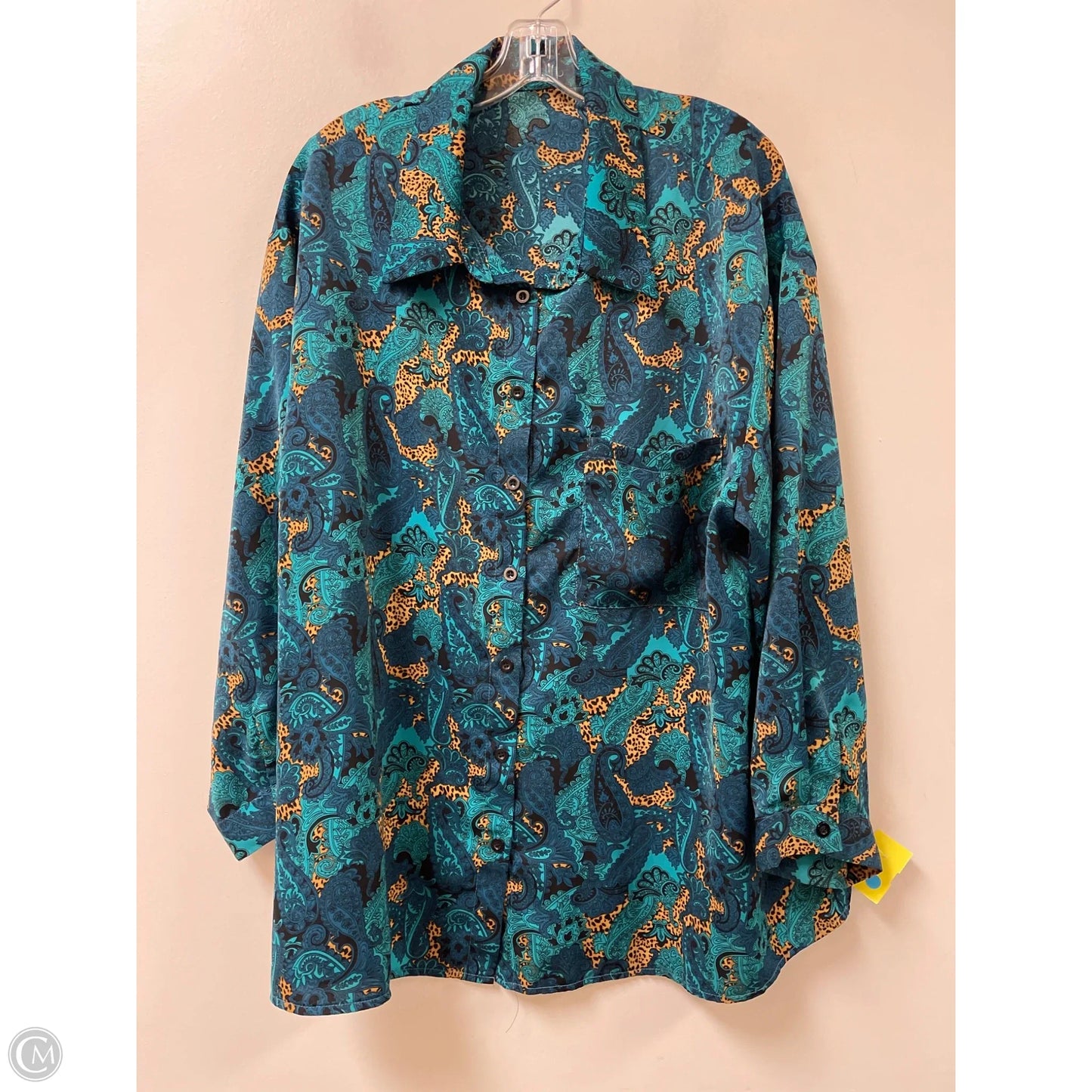 Blouse Long Sleeve By Shein In Teal, Size: 2x