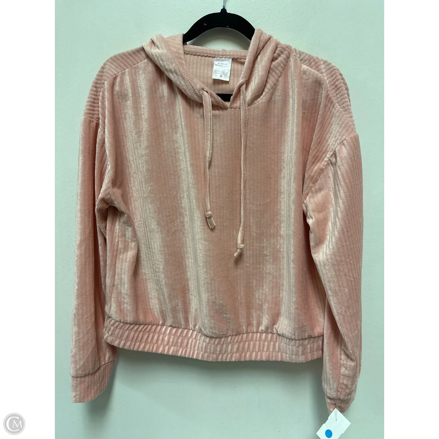 Sweatshirt Hoodie By No Boundaries In Pink, Size: Xl