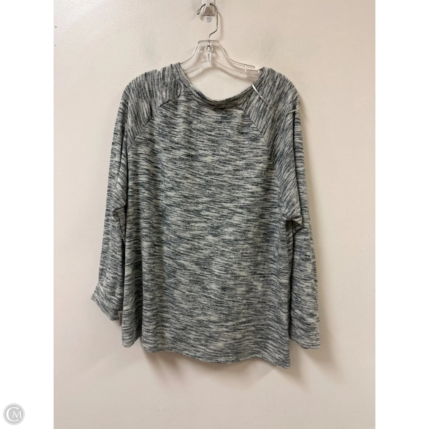 Top Long Sleeve By Time And Tru In Grey, Size: 3x