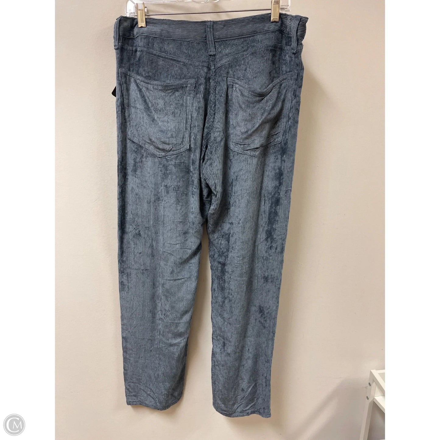 Pants Other By Rag And Bone In Blue, Size: 10