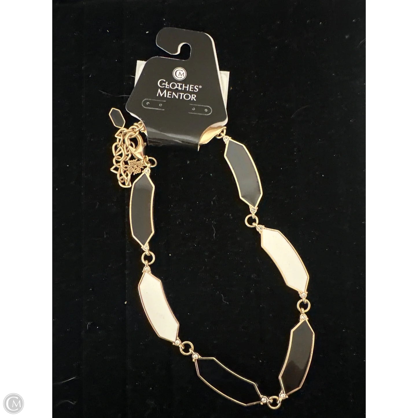 Necklace Statement By White House Black Market