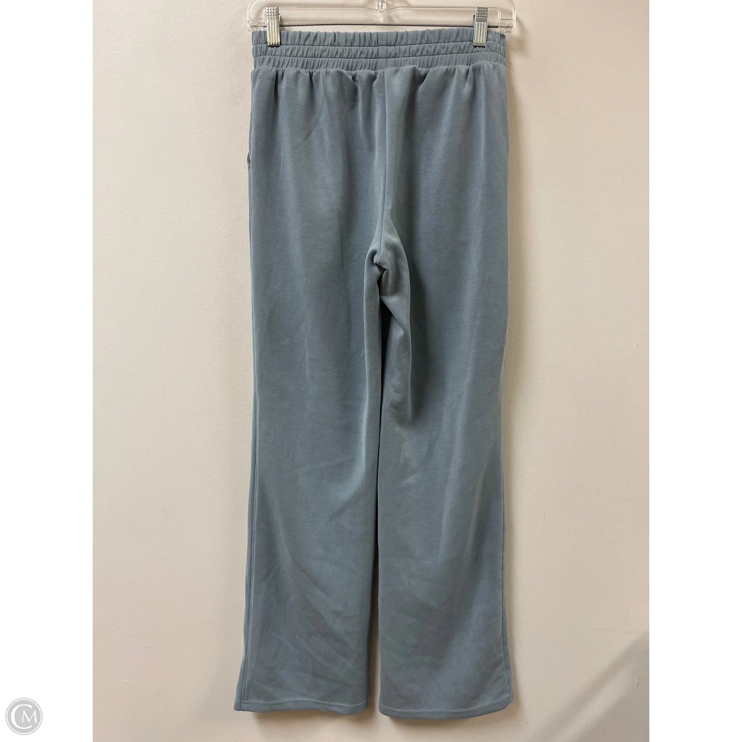 Athletic Pants By Danskin In Blue, Size: S