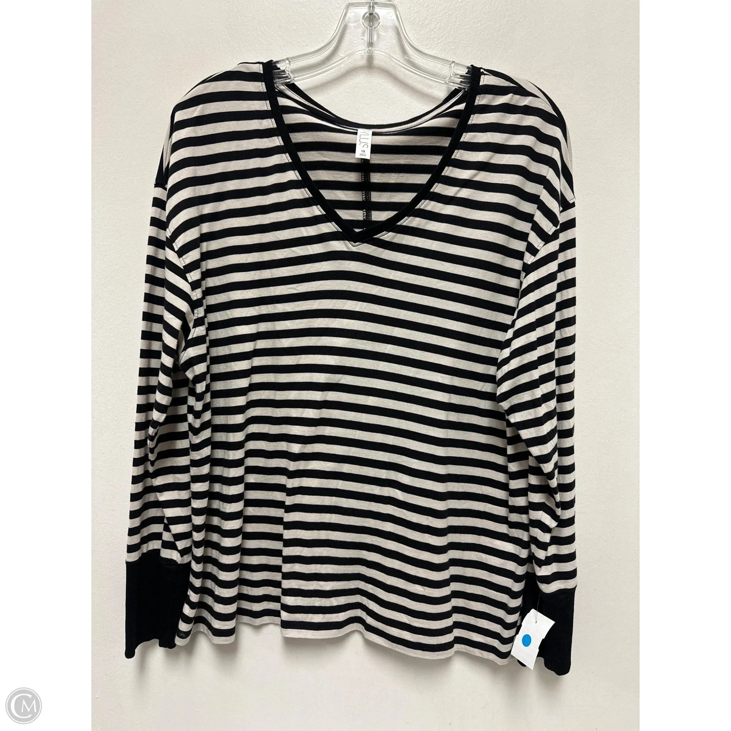 Top Long Sleeve By Stylus In Striped Pattern, Size: 1x